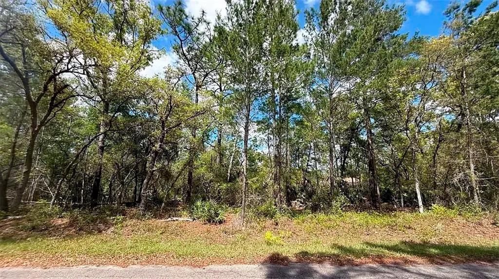 For Sale: $14,250 (0.24 acres)