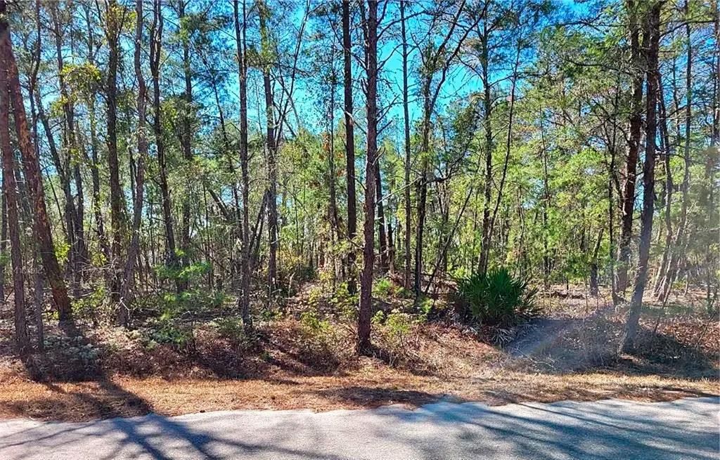 For Sale: $14,250 (0.24 acres)