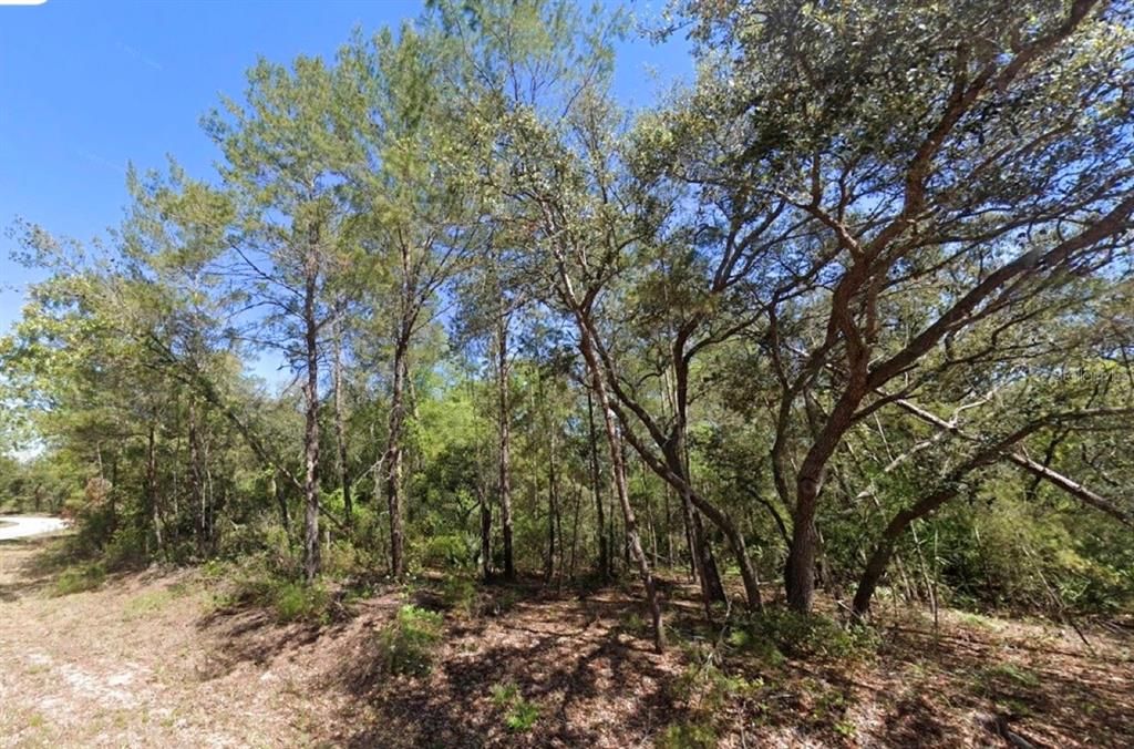 For Sale: $14,250 (0.24 acres)