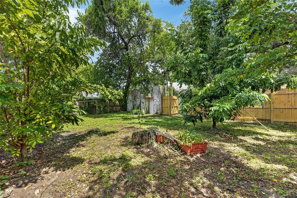 В аренду: $3,100 (3 спален, 2 ванн, 1554 Квадратных фут)