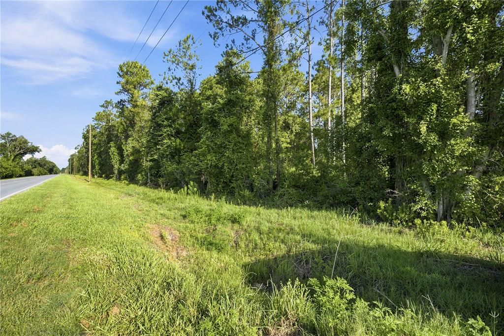 На продажу: $280,000 (20.00 acres)