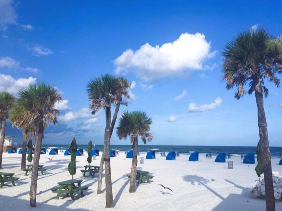 For Rent: $2,300 (2 beds, 2 baths, 976 Square Feet)