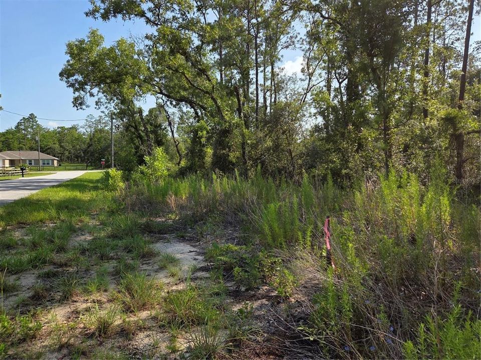 For Sale: $25,900 (1.00 acres)
