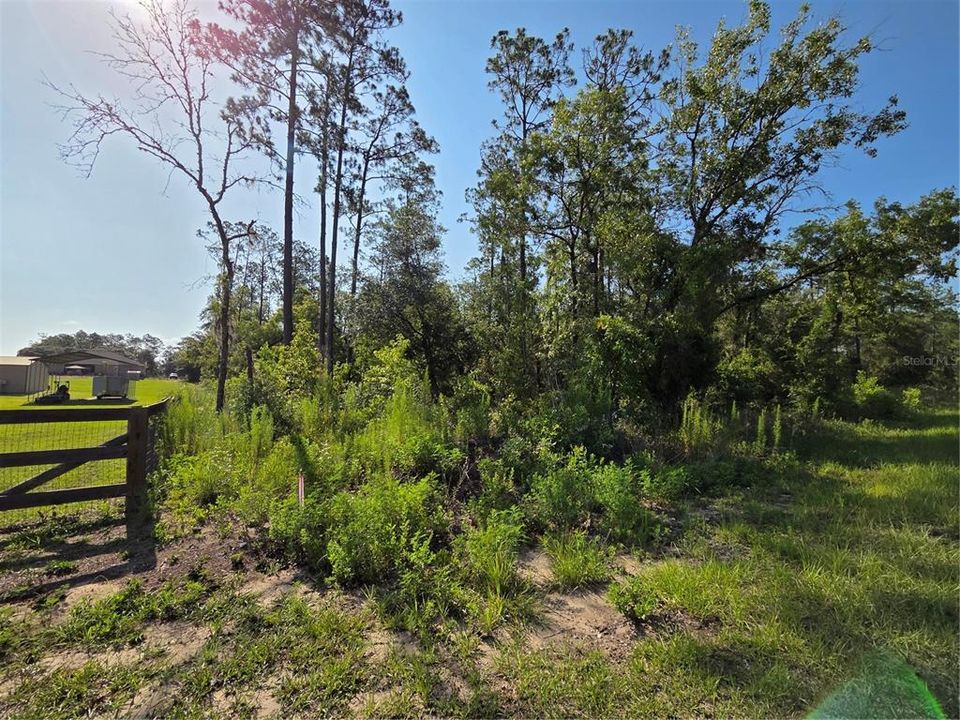 For Sale: $25,900 (1.00 acres)