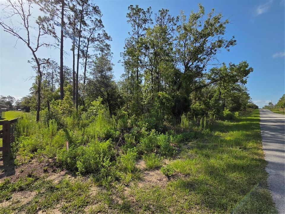 For Sale: $25,900 (1.00 acres)