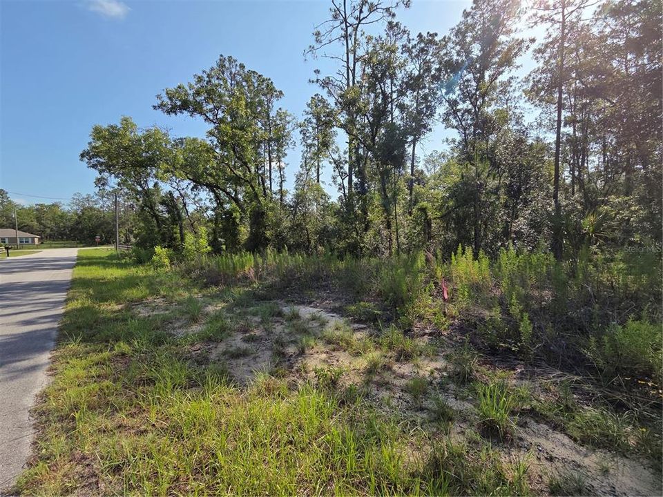 For Sale: $25,900 (1.00 acres)