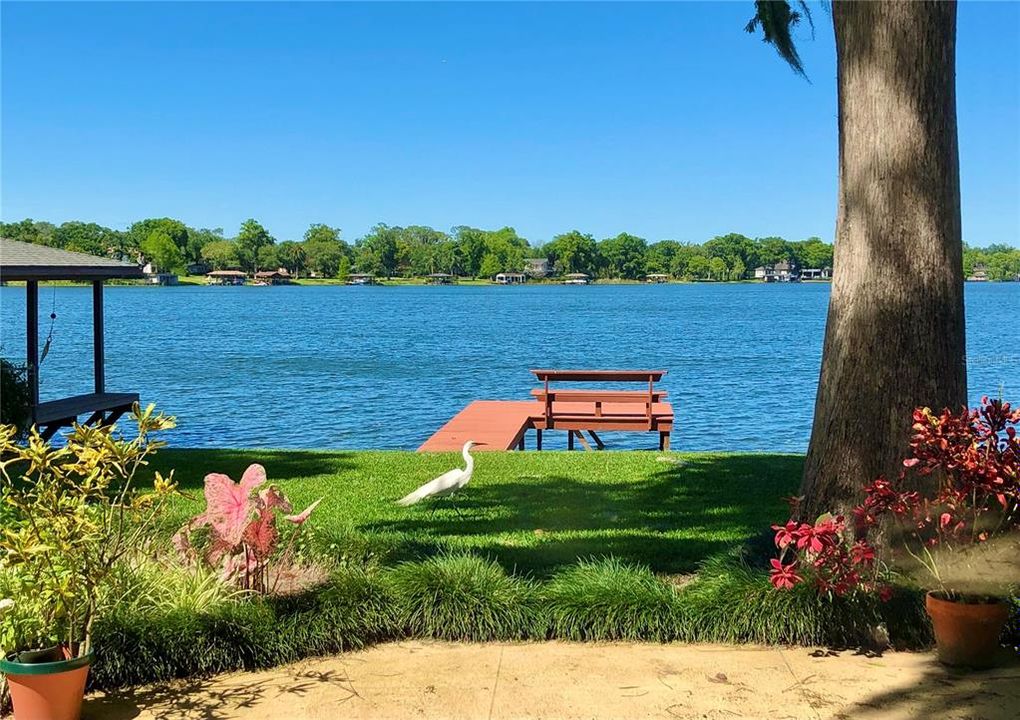 En Venta: $2,695,000 (0.32 acres)
