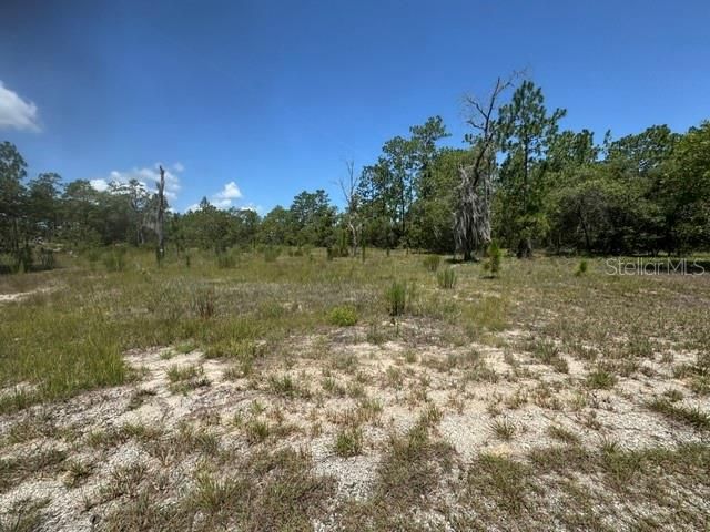 Под контрактом: $199,900 (13.00 acres)