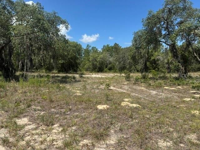 Под контрактом: $199,900 (13.00 acres)