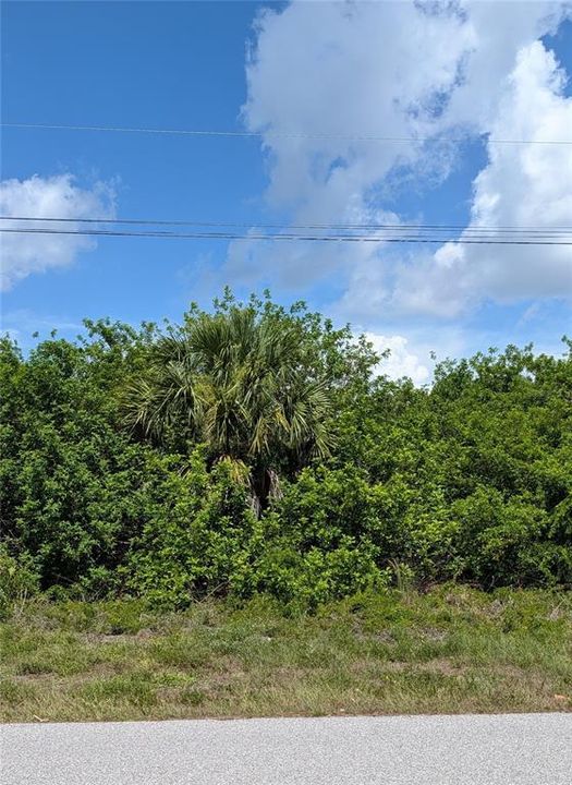 For Sale: $23,000 (0.23 acres)