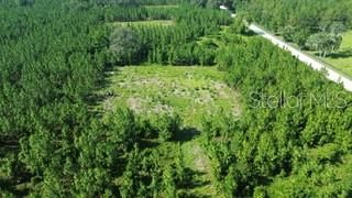For Sale: $200,000 (10.00 acres)