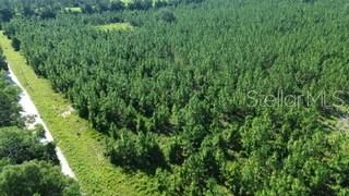 For Sale: $200,000 (10.00 acres)