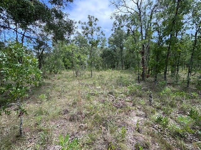 For Sale: $119,900 (5.00 acres)