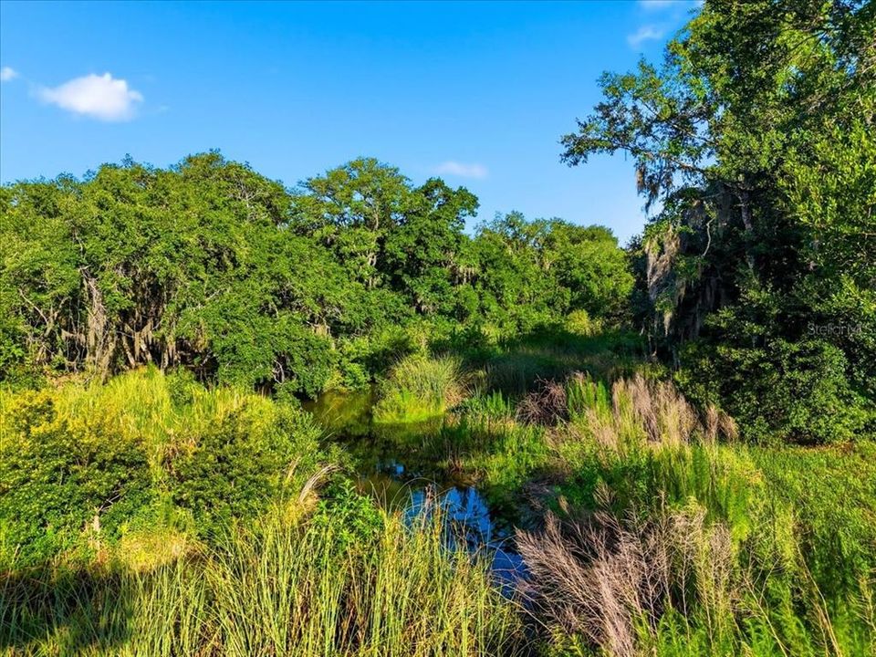 На продажу: $69,900 (1.51 acres)