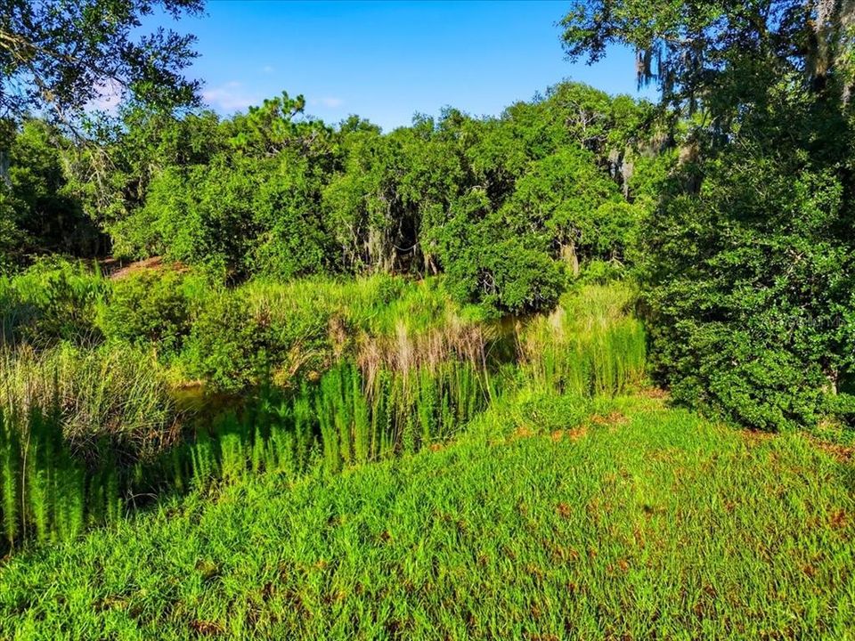 На продажу: $69,900 (1.51 acres)