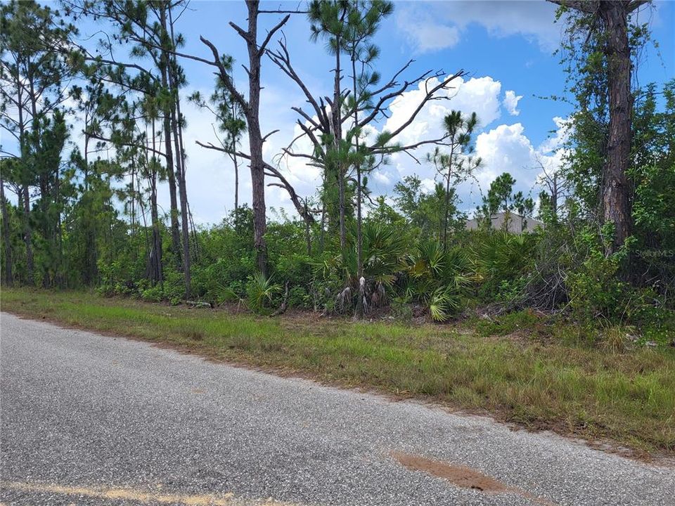 For Sale: $22,000 (0.23 acres)