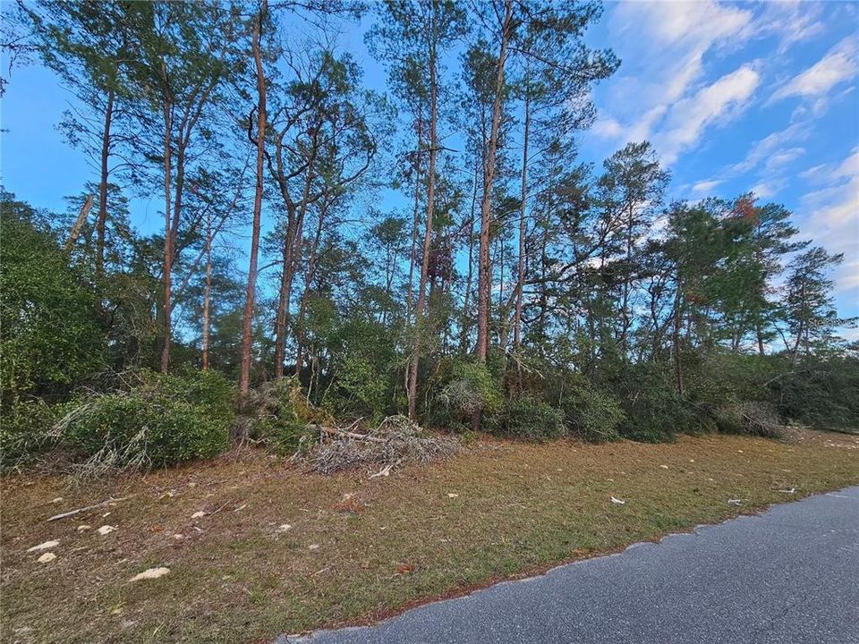 На продажу: $65,000 (0.57 acres)