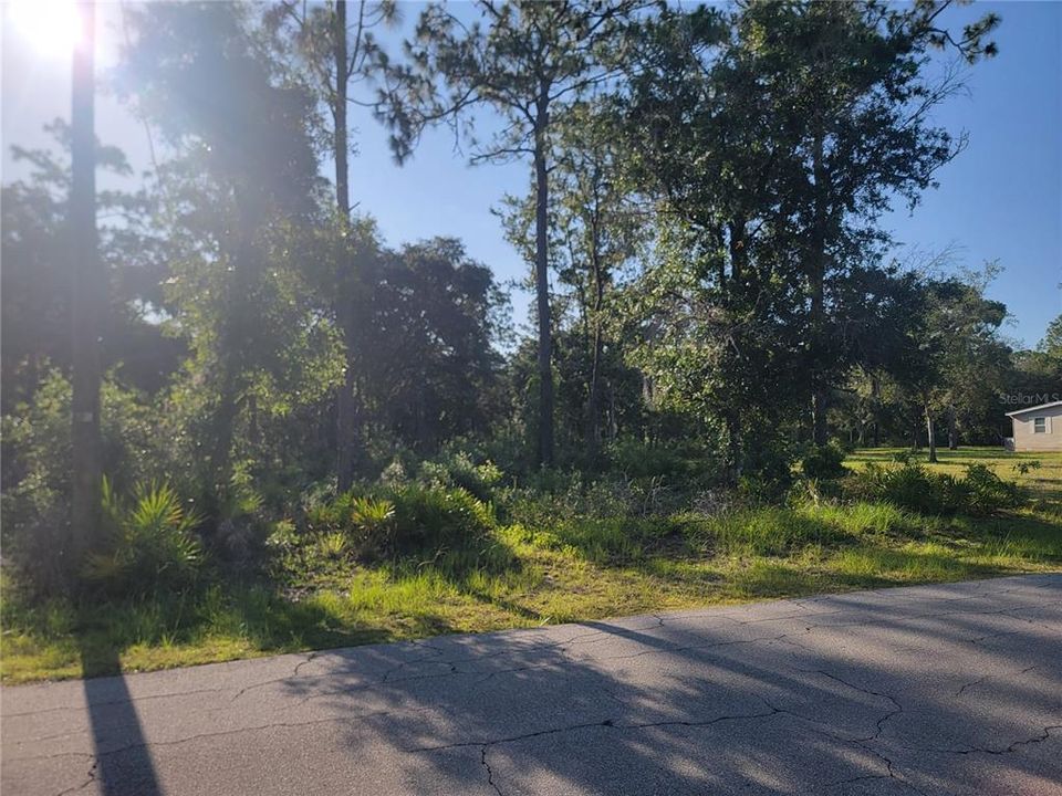 待售: $79,000 (1.10 acres)