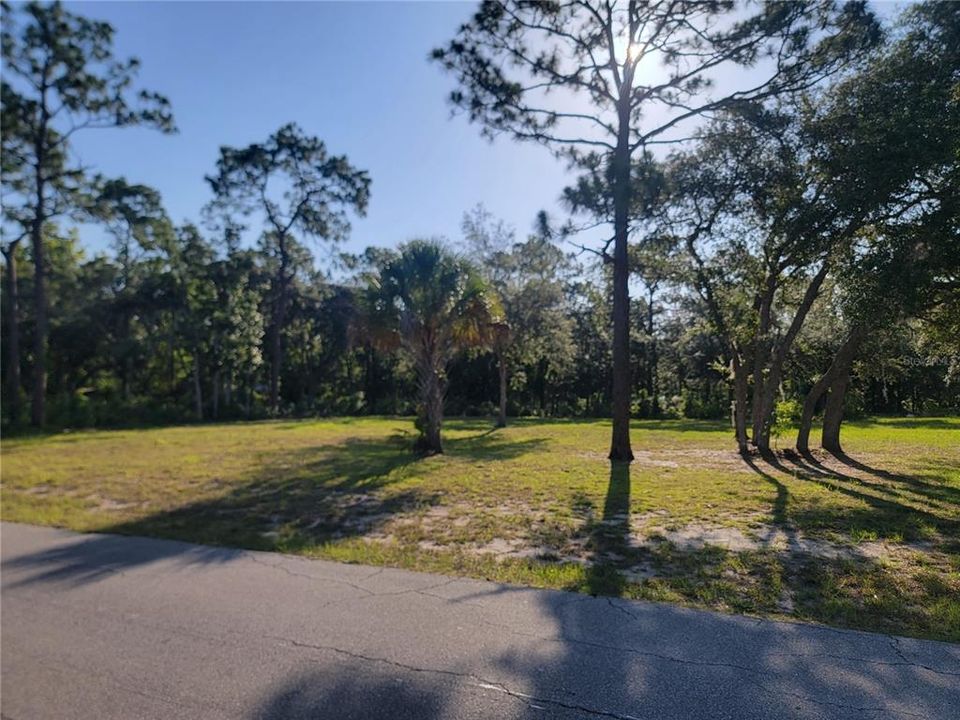 待售: $79,000 (1.10 acres)