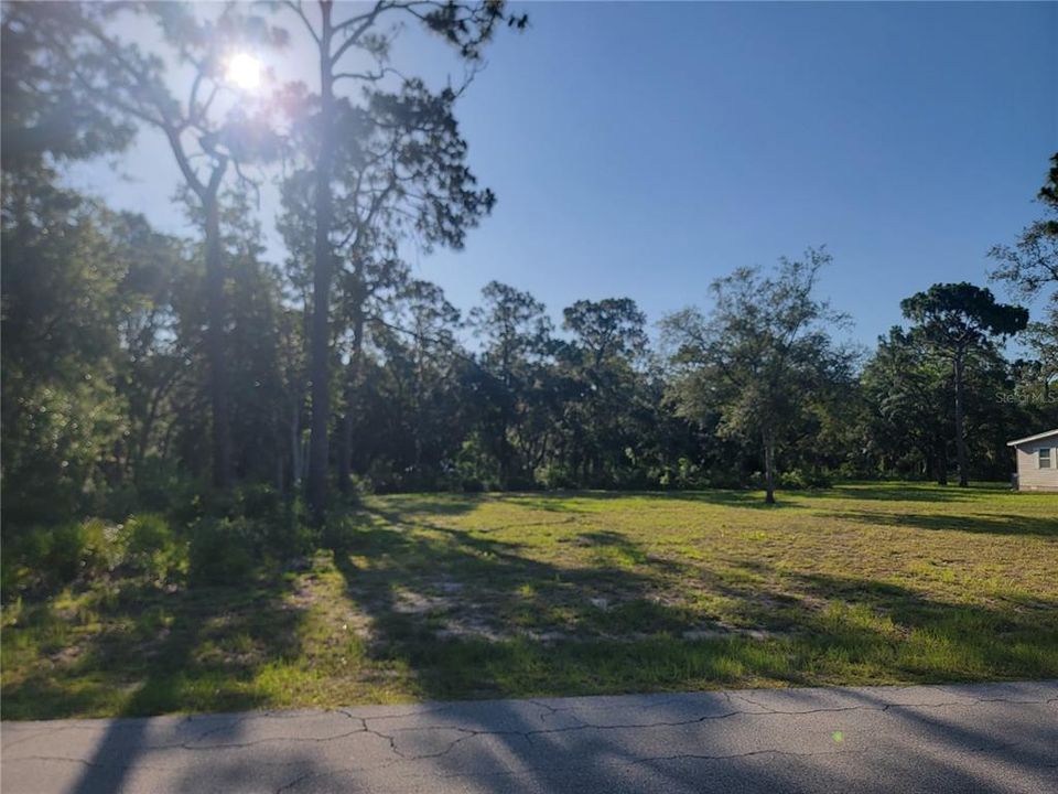 待售: $79,000 (1.10 acres)