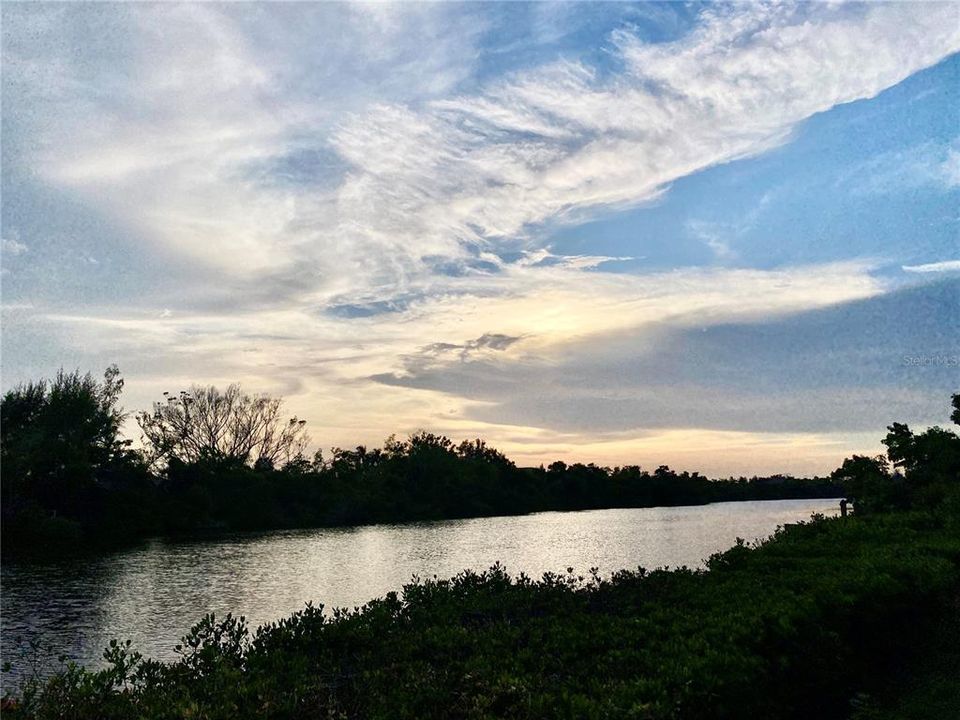 For Sale: $989,000 (0.32 acres)