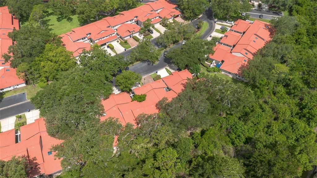 На продажу: $539,000 (3 спален, 2 ванн, 1985 Квадратных фут)