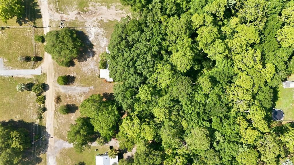 For Sale: $99,900 (1.44 acres)