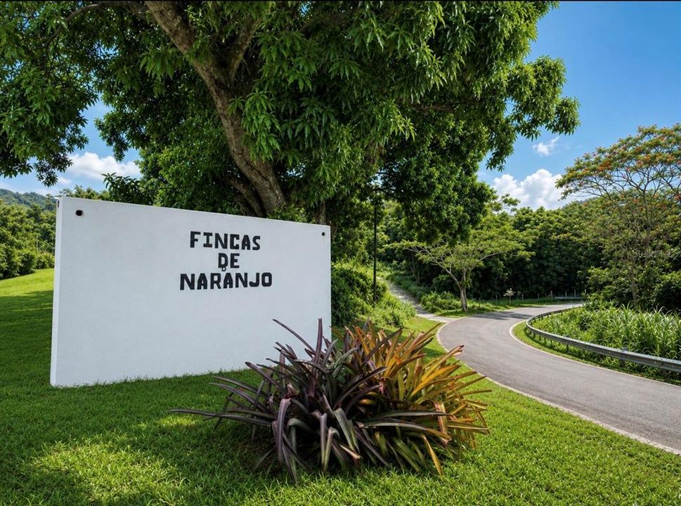 待售: $197,500 (6.00 acres)