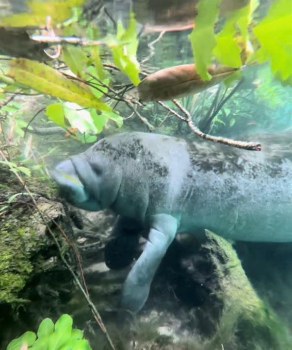 На продажу: $899,000 (2 спален, 1 ванн, 1008 Квадратных фут)