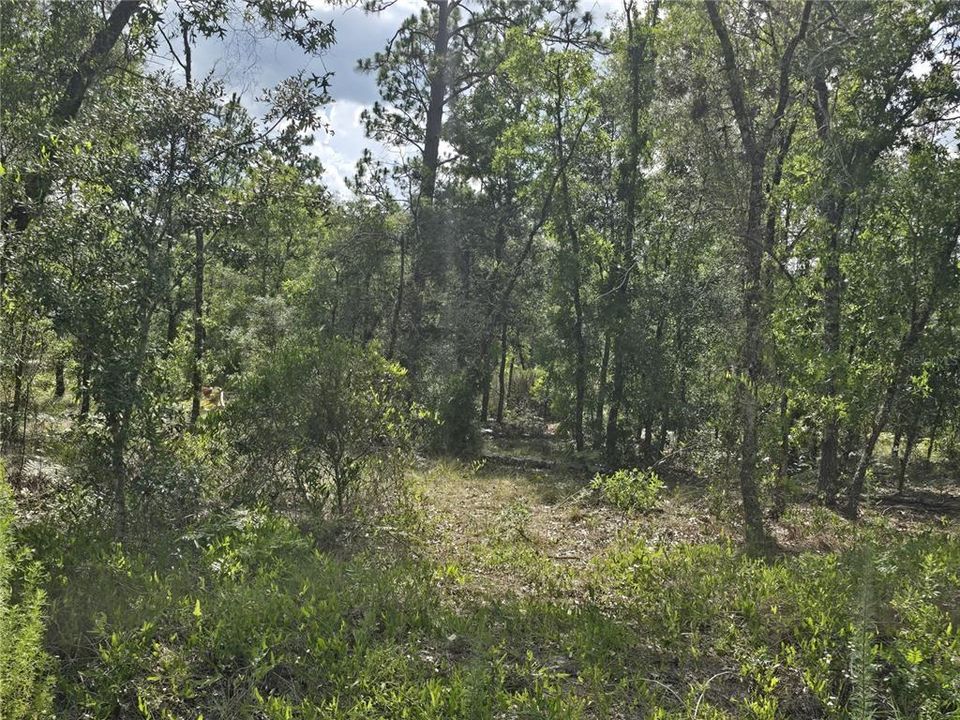 For Sale: $30,500 (1.00 acres)