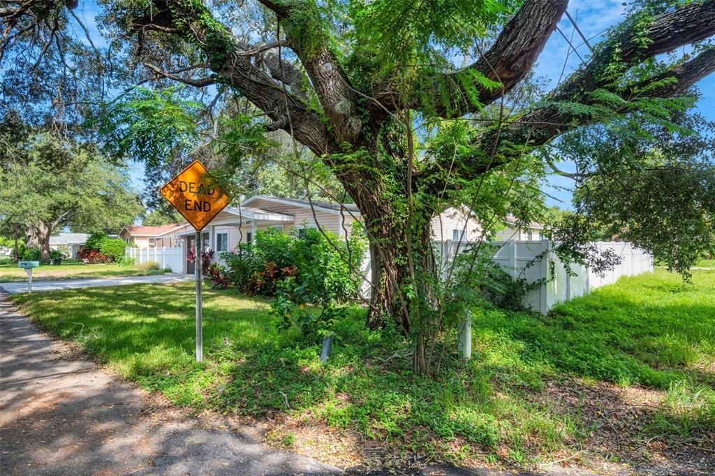 For Sale: $490,000 (3 beds, 2 baths, 1507 Square Feet)