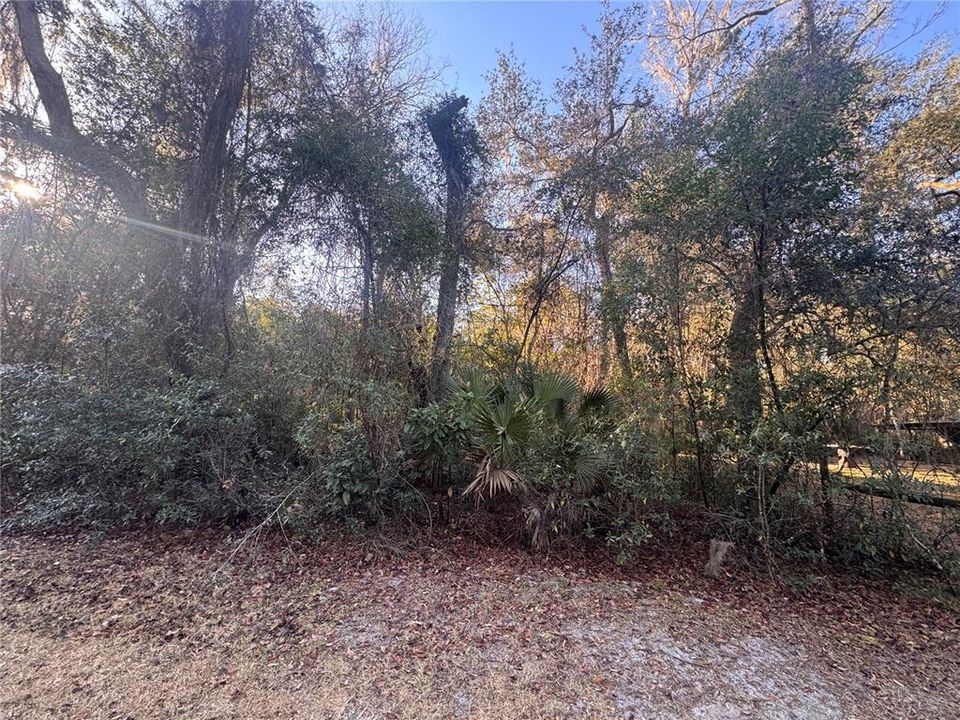 For Sale: $49,900 (0.45 acres)
