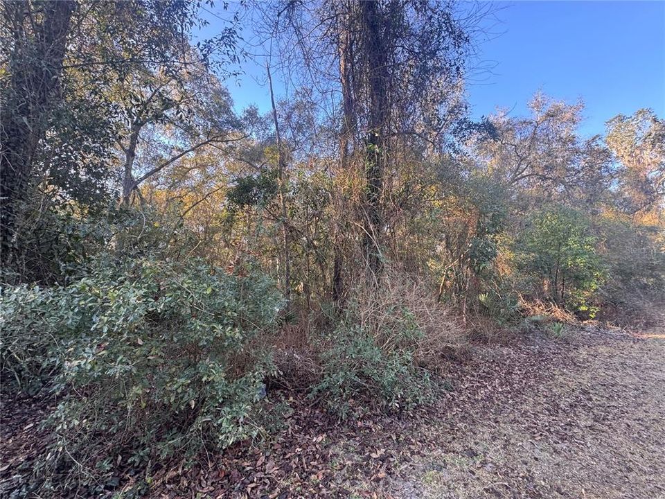 For Sale: $49,900 (0.45 acres)