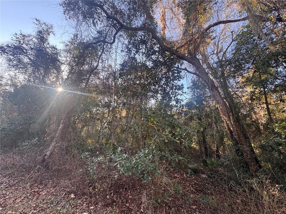 For Sale: $49,900 (0.45 acres)