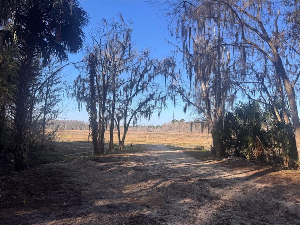 For Sale: $49,900 (0.45 acres)