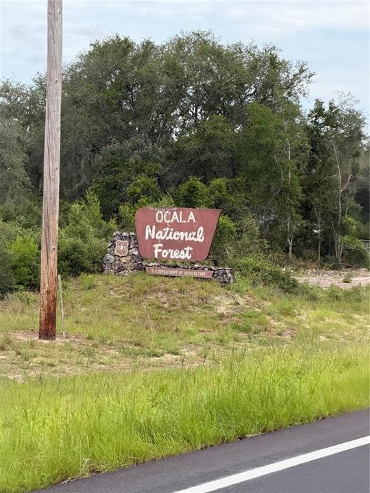 For Sale: $49,900 (0.45 acres)