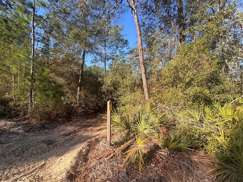 For Sale: $49,900 (0.45 acres)