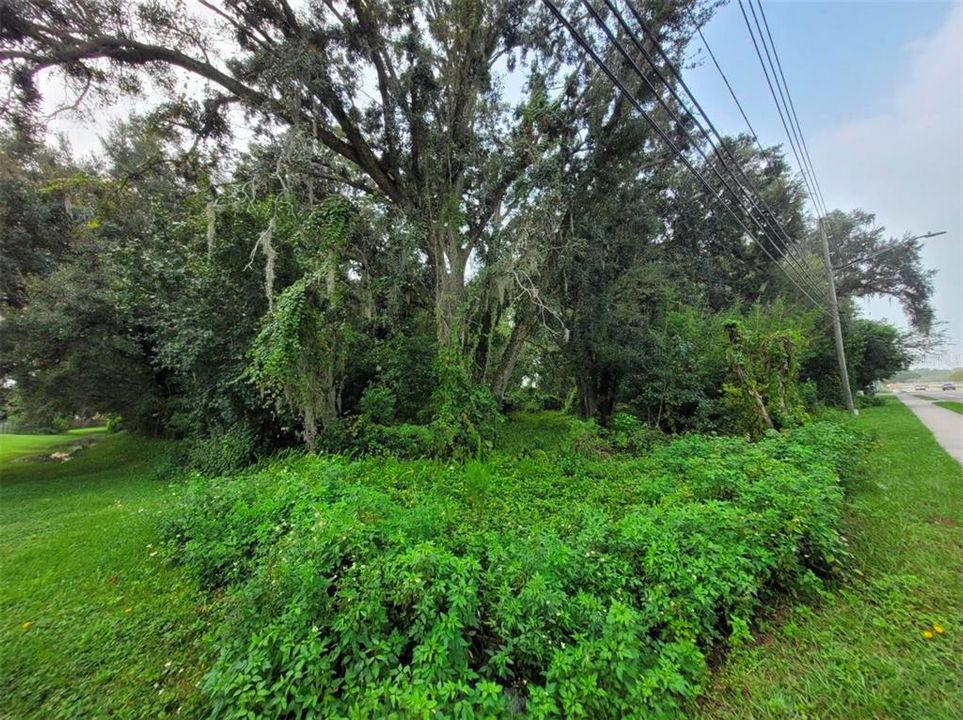 For Sale: $399,900 (1.37 acres)