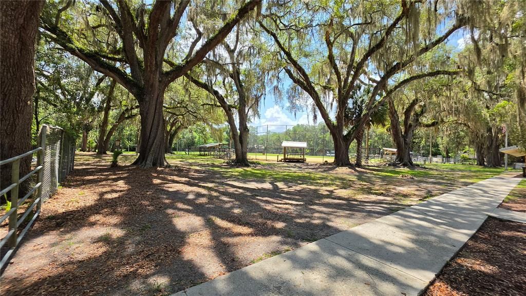 En Venta: $35,000 (0.29 acres)