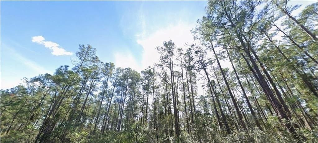 For Sale: $10,000 (0.50 acres)