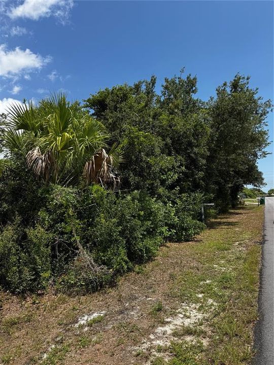 For Sale: $18,500 (0.23 acres)
