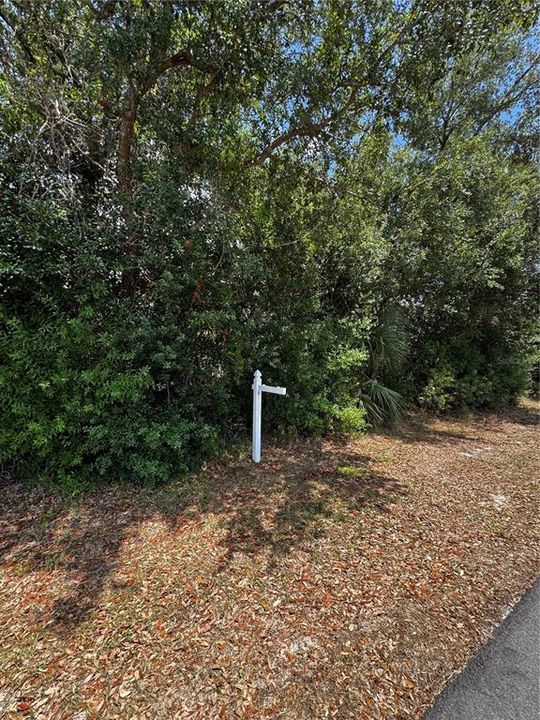 For Sale: $18,500 (0.23 acres)