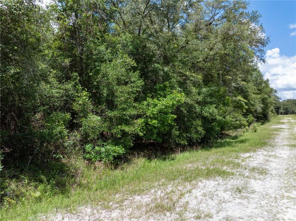 最近售出: $125,000 (11.89 acres)