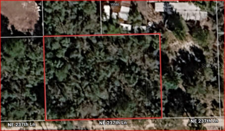 En Venta: $14,950 (0.43 acres)