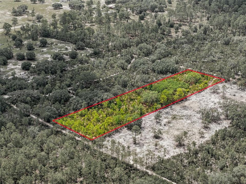 待售: $28,000 (1.25 acres)