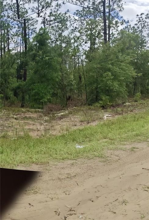 Active With Contract: $67,000 (1.16 acres)