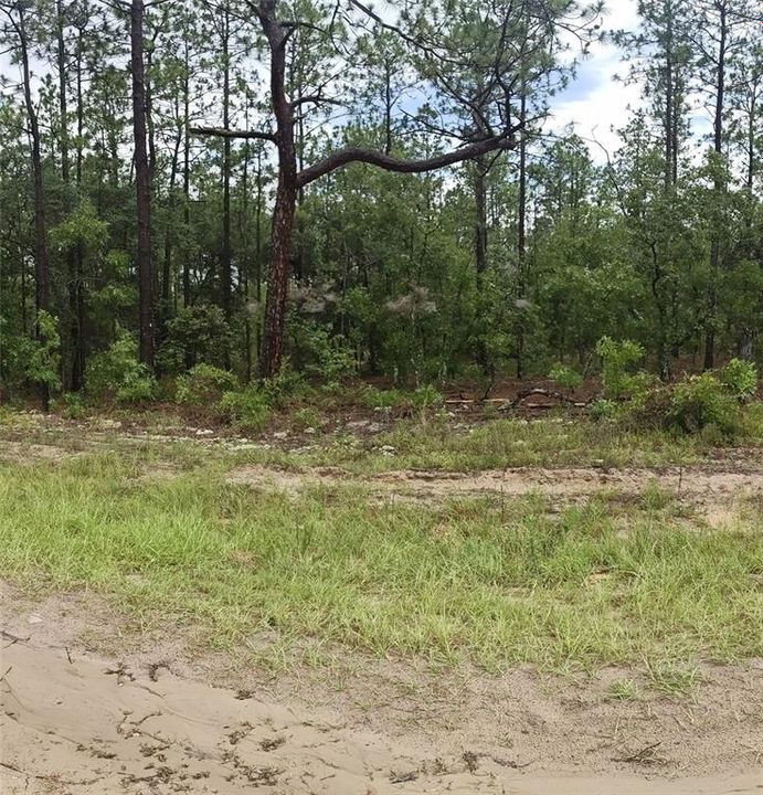 Active With Contract: $67,000 (1.16 acres)