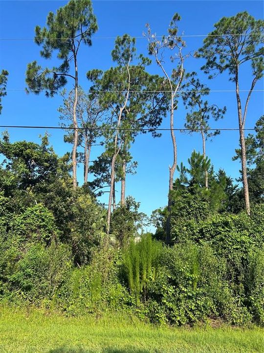 For Sale: $70,000 (0.24 acres)