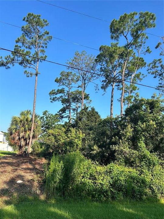 For Sale: $70,000 (0.24 acres)