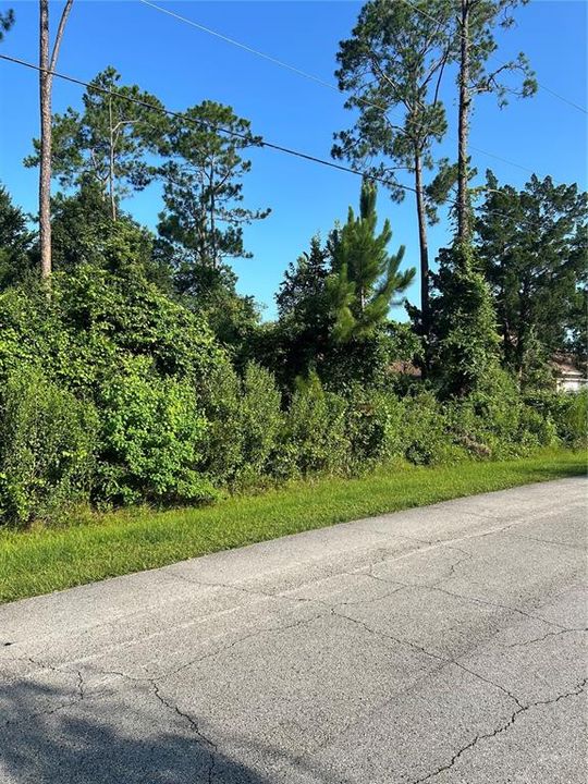 For Sale: $70,000 (0.24 acres)
